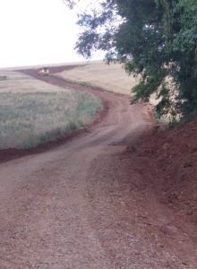 Esperança do Sul: recuperação da estrada de Linha Santo Antônio dos Gringos