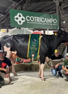 Produtores associados à Cotricampo conquistam importantes resultados na Fenasul Expoleite