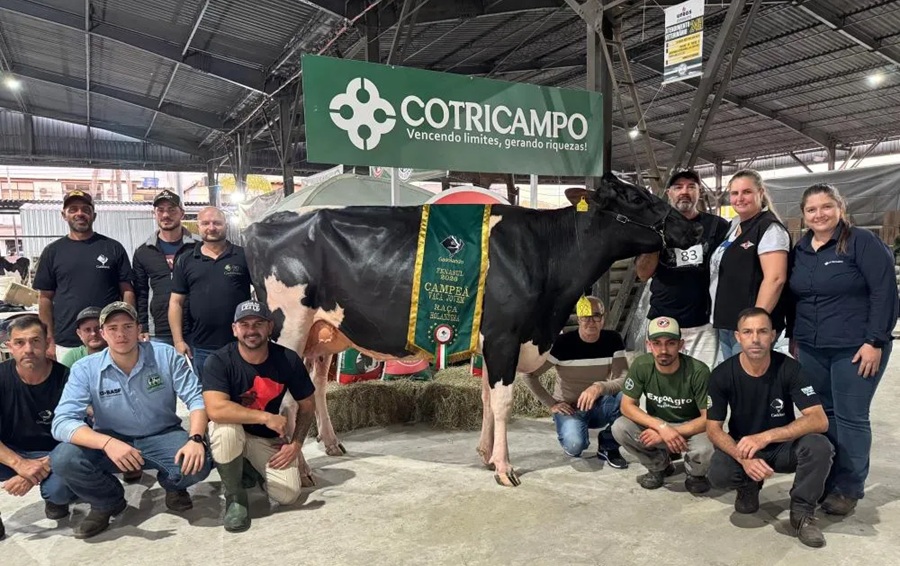 Produtores associados à Cotricampo conquistam importantes resultados na Fenasul Expoleite