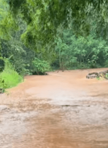 Fortes chuvas causam transtornos no domingo em Esperança do Sul