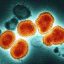 Cientistas fazem alerta sobre qual vírus deve causar a próxima pandemia
