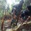 Vídeo – Mulher desaparecida é encontrada morta dentro de cobra píton de 9 metros