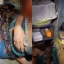 Vídeo – Mulher de 64 anos é estrangulada por cobra gigante por mais de 2 horas