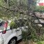 Temporais já causam estragos no interior do Rio Grande do Sul; veja imagens